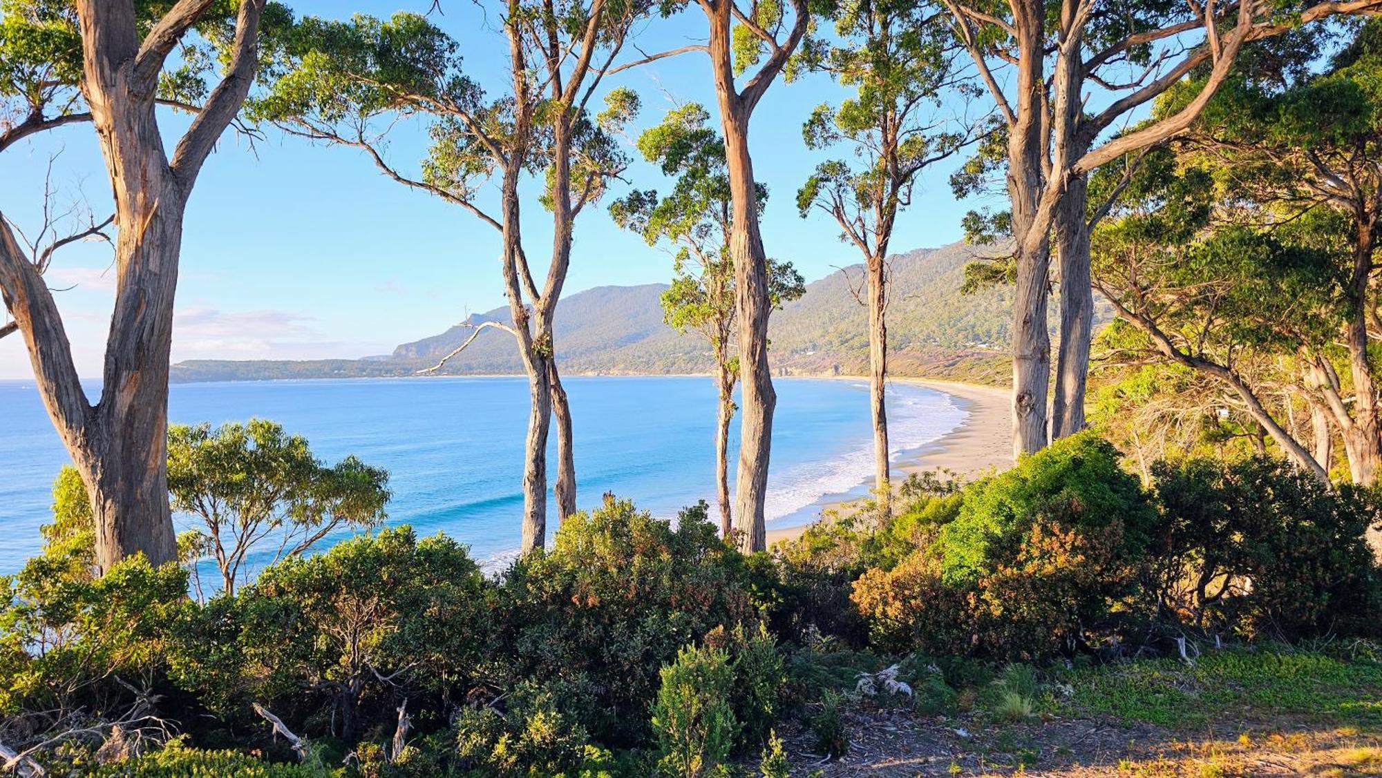 Lufra Beachside Hotel Eaglehawk Neck Eksteriør billede